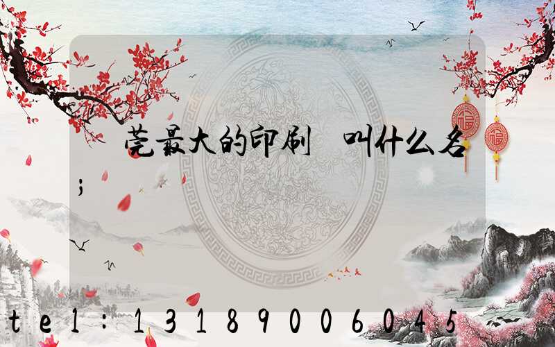 東莞最大的印刷廠叫什么名